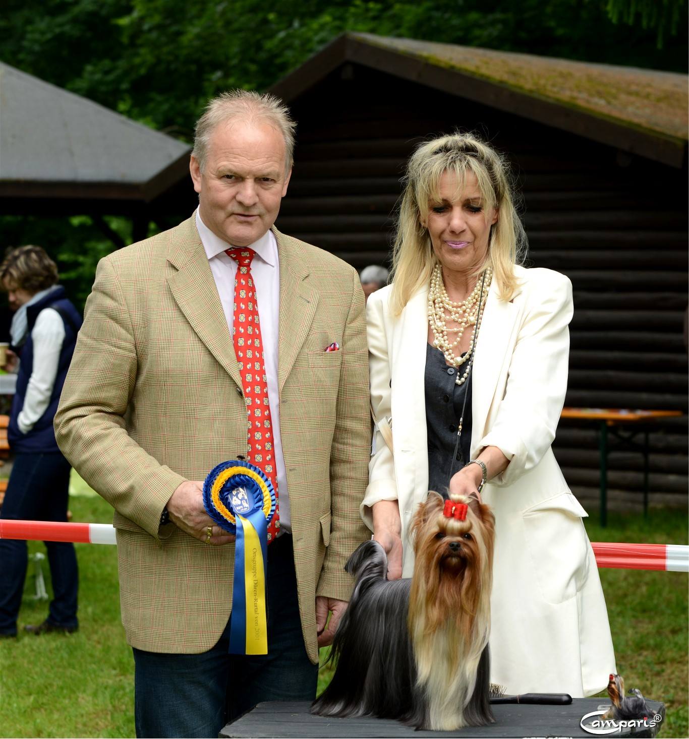 CAMPARIS KID ROCK &mdash; Labaza DogPedigree YorkshireTerrier